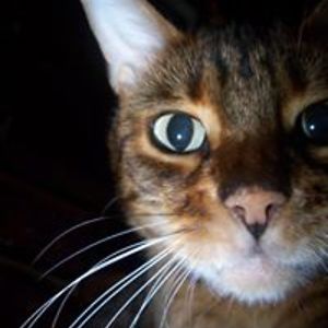 1717nicholson avatar