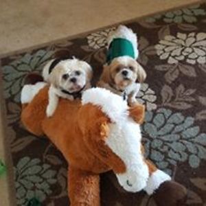 janeen_hedquist avatar