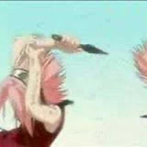 natasjakammerman avatar