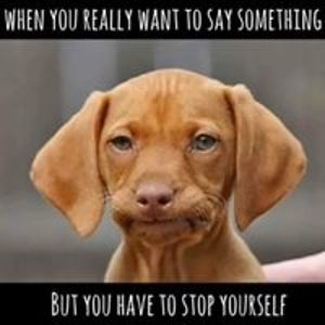 nicolegoyette avatar