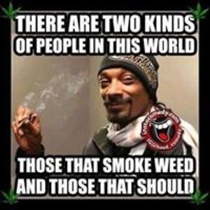 angelaamerson4116 avatar