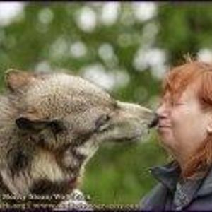 ellensandberg avatar