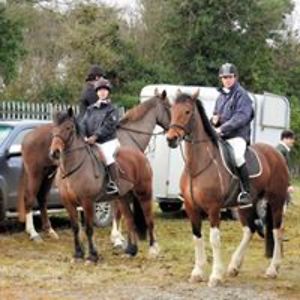 karengreene2009 avatar