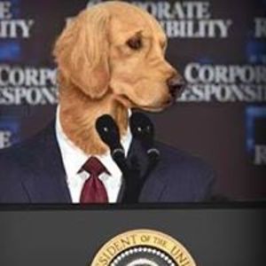 squirrelcottage avatar