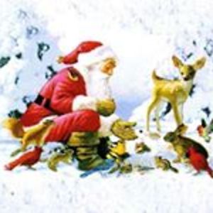 l_morriscat42 avatar