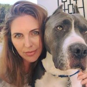 nextjenproductions avatar