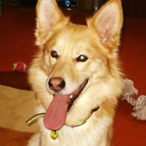 robertkilbride avatar