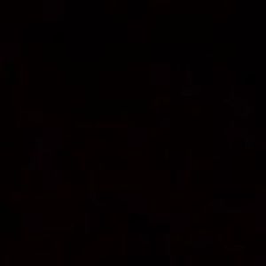 paperdollster avatar