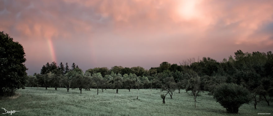 Photography - My Therapy