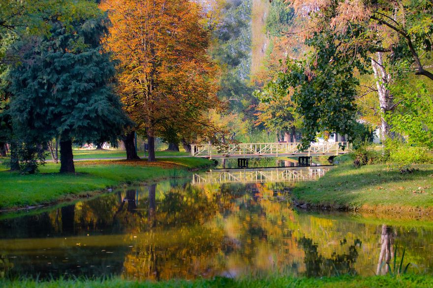 Autumn In The City Park In Macedonia