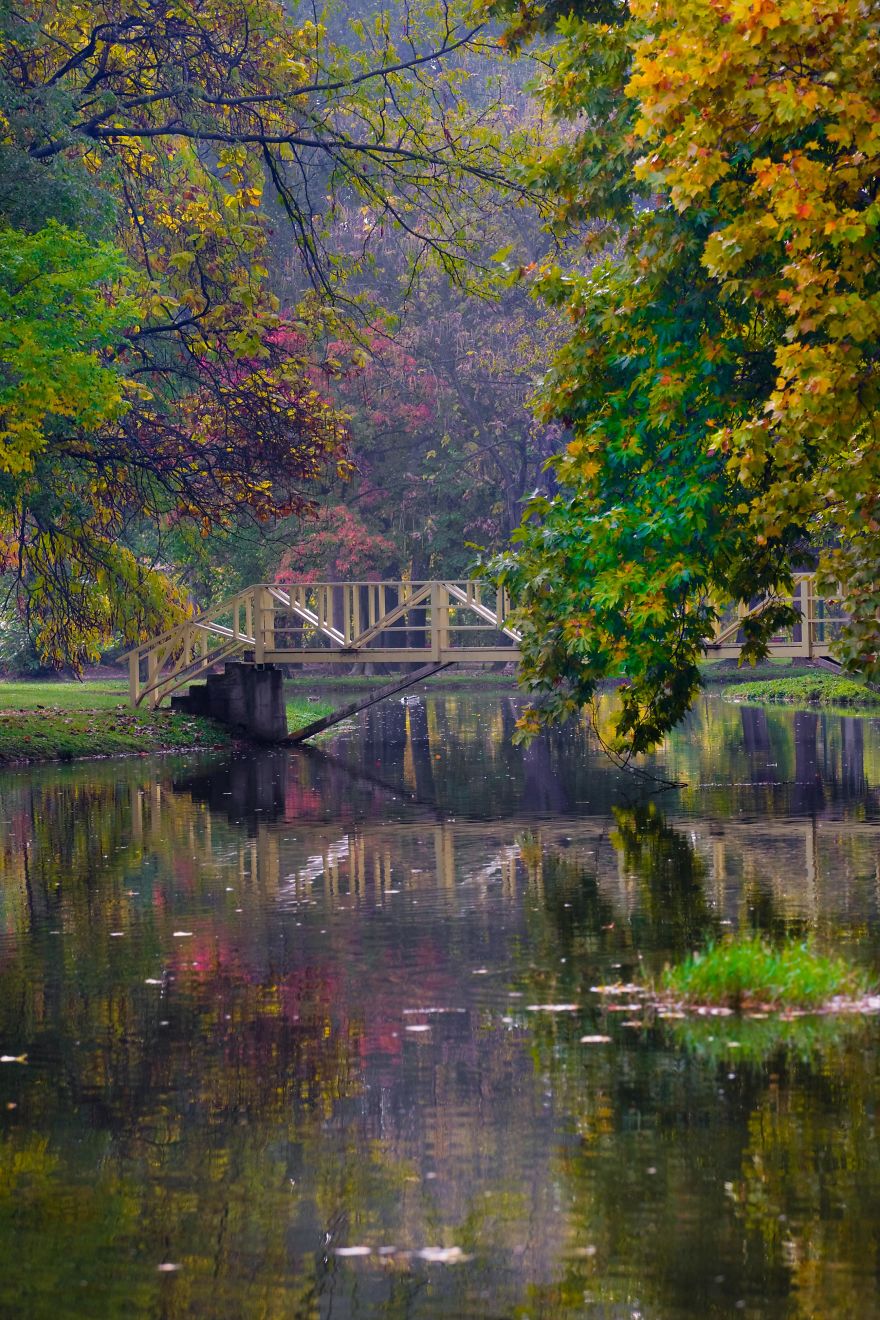 Autumn In The City Park In Macedonia