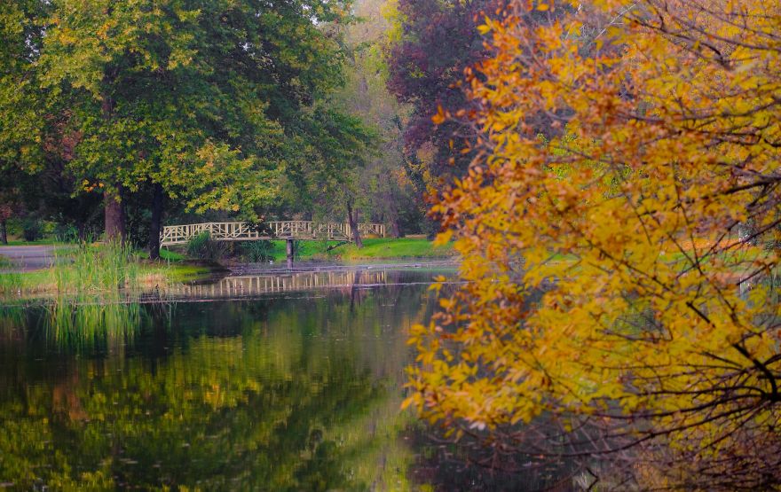 Autumn In The City Park In Macedonia
