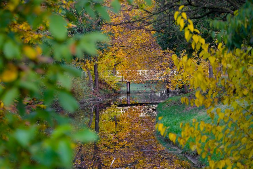 Autumn In The City Park In Macedonia