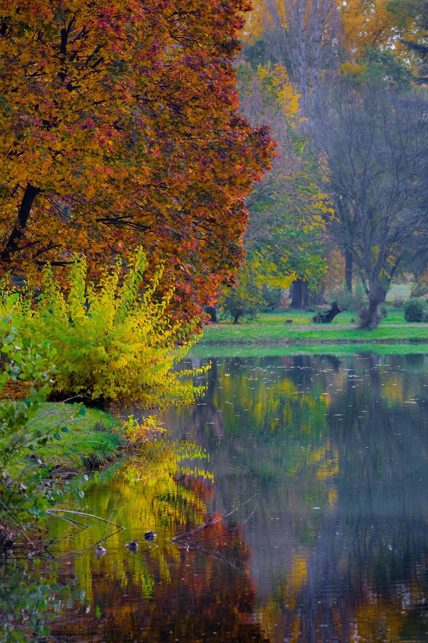 Autumn In The City Park In Macedonia