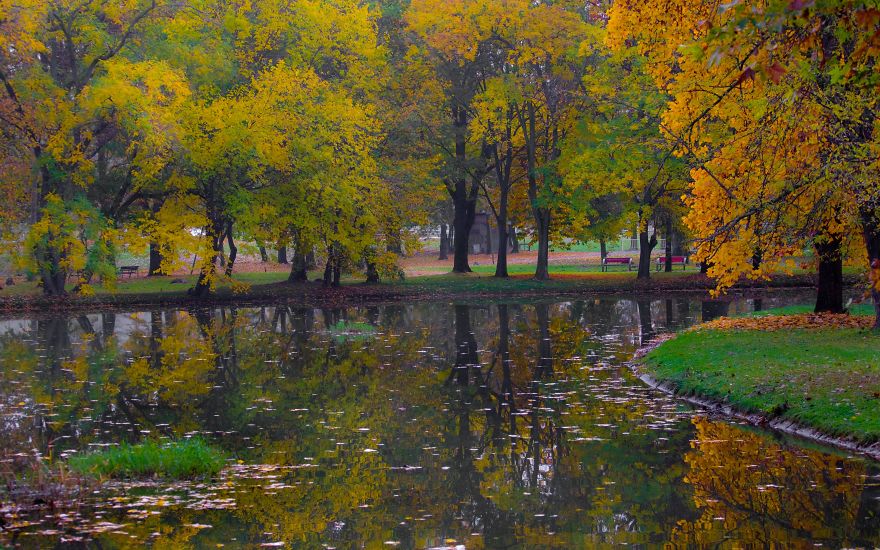 Autumn In The City Park In Macedonia