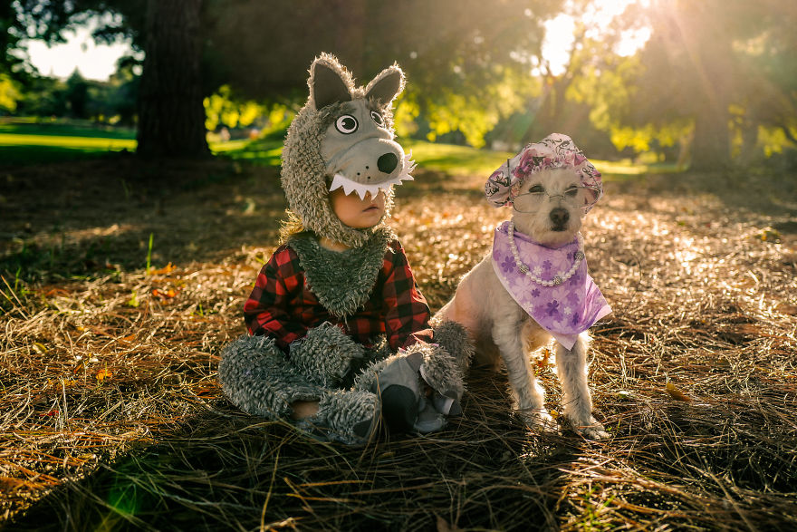 How A Photoshoot With A Toddler And Two Dogs Looks Like...