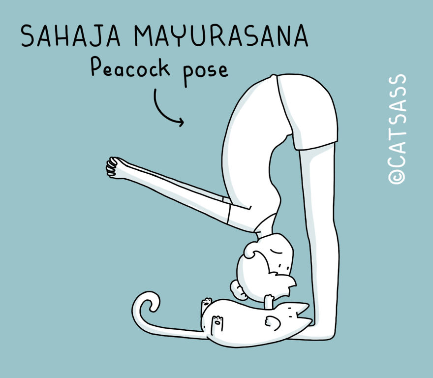 These Comics Show How You Can Do Yoga With Your Cat