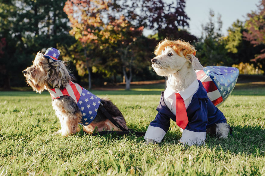 How A Photoshoot With A Toddler And Two Dogs Looks Like...