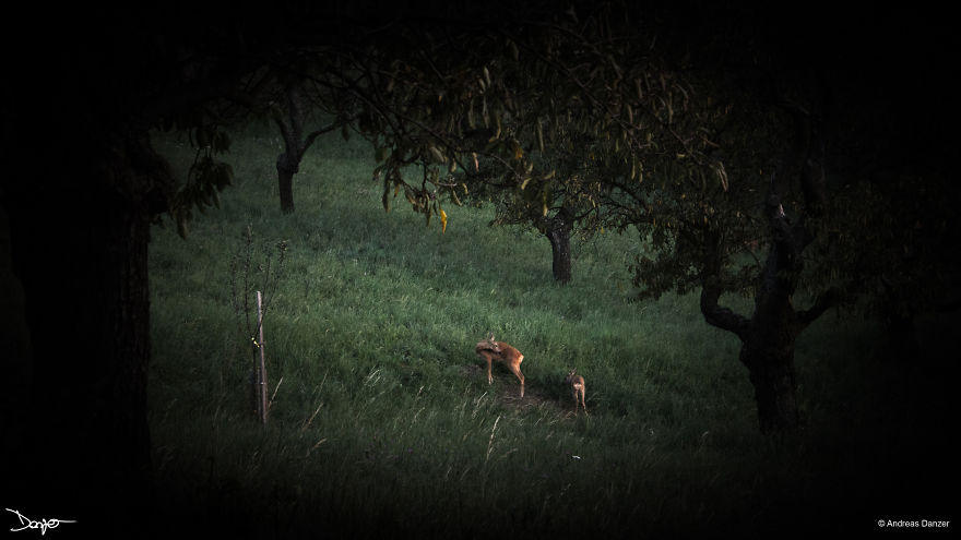 Photography - My Therapy