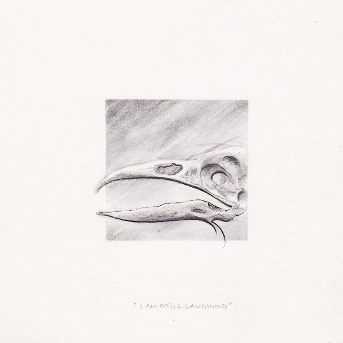 "I Am Still Laughing"