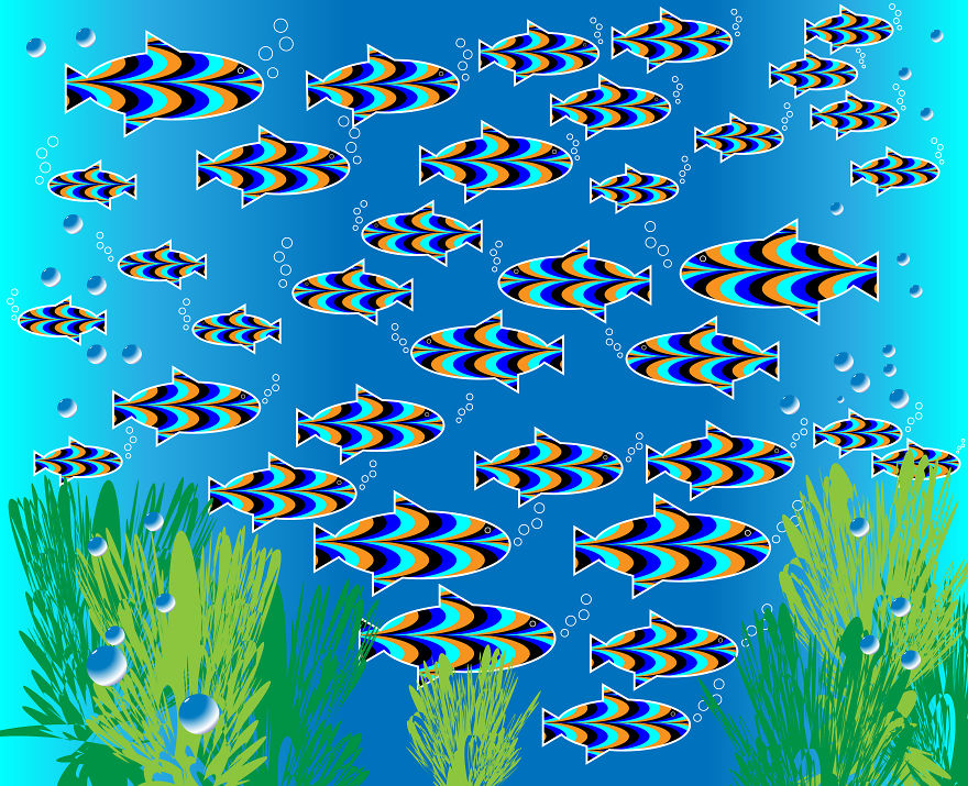 Optical Illusions: A Moving Experience