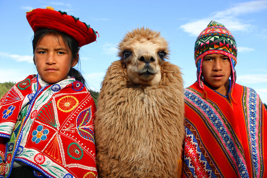 Kids Are Posing With Their Lama In Cuzco, Peru. Don't Get Me Wrong, It's A Real One!