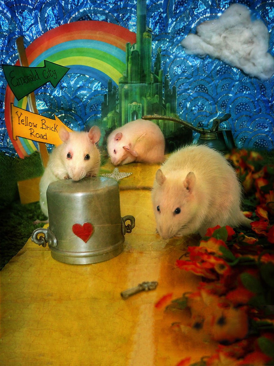 Hati, Leda And Tebe In "The Wizard Of Oz"