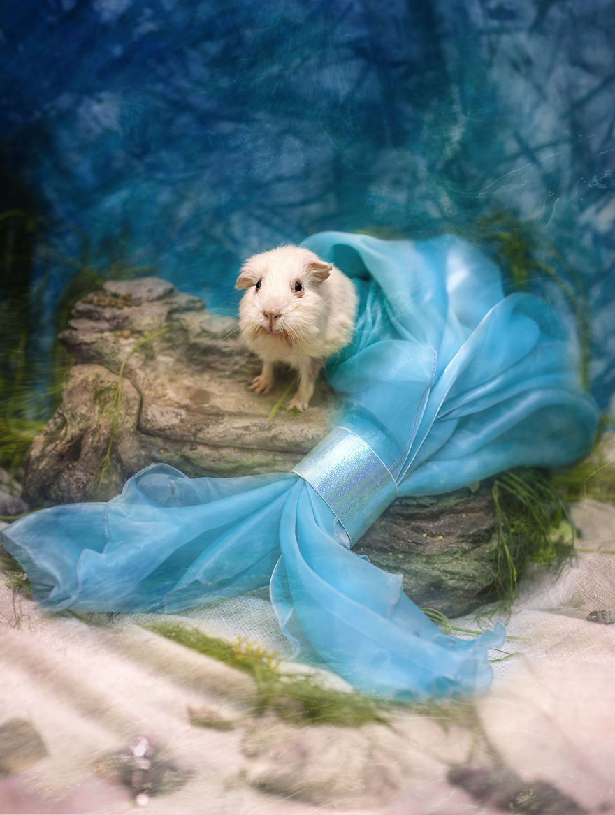 Paquita In "The Little Mermaid"