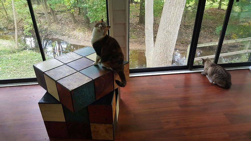 We Built A Rubik's Cube Bed For Our Cat We Built A Rubik's Cube Bed For Our Cat