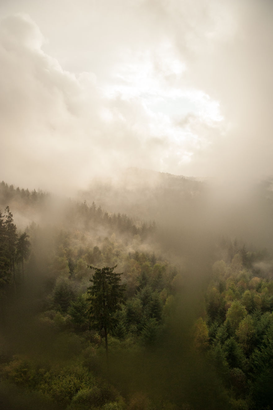 I Am A Catcher Of The Fog