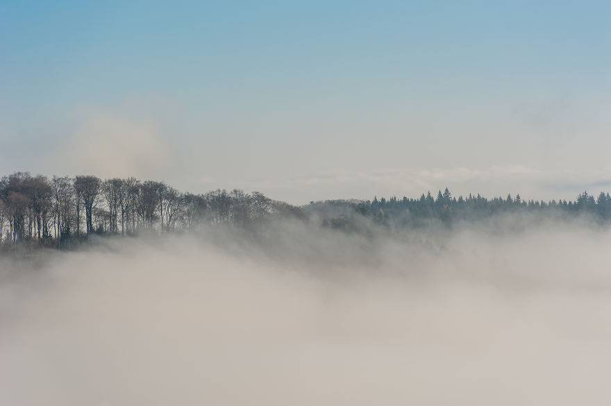 I Am A Catcher Of The Fog