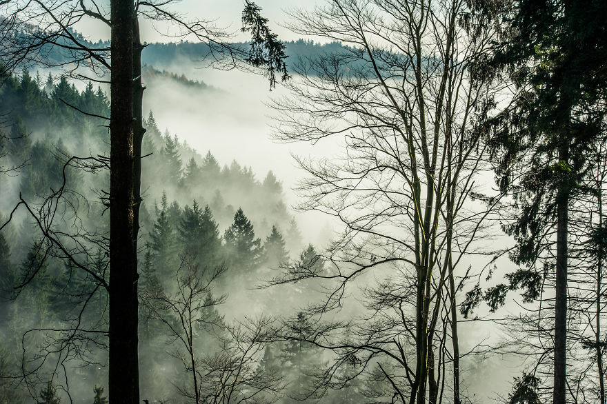 I Am A Catcher Of The Fog I Am A Catcher Of The Fog