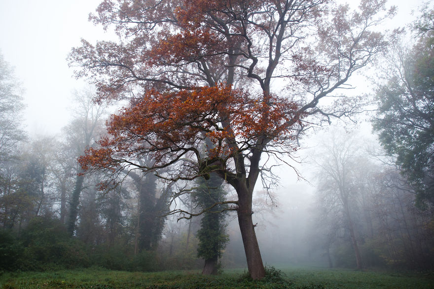 I Am A Catcher Of The Fog I Am A Catcher Of The Fog
