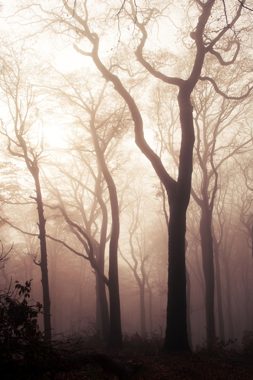 I Am A Catcher Of The Fog I Am A Catcher Of The Fog