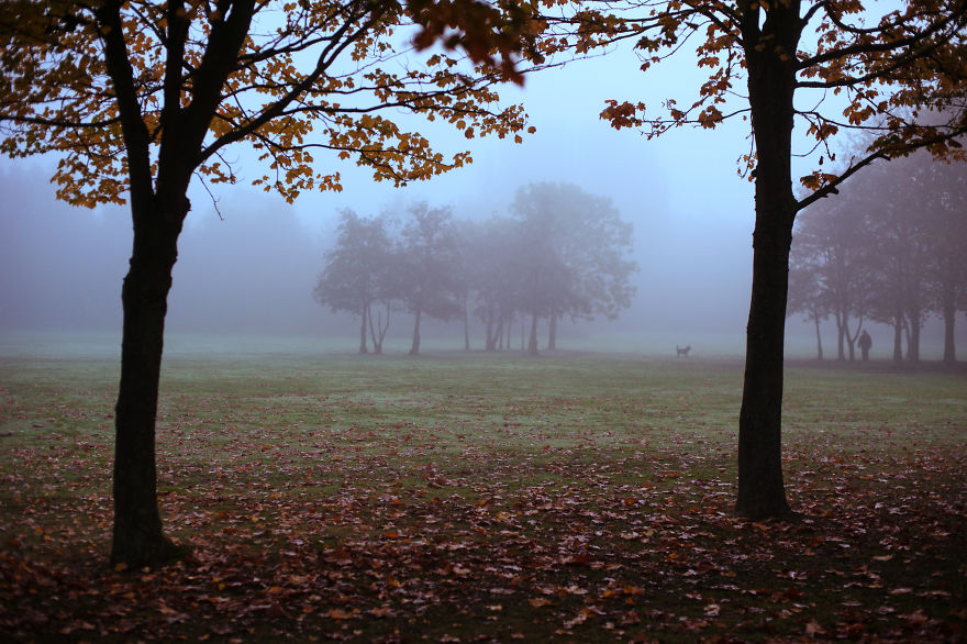I Am A Catcher Of The Fog I Am A Catcher Of The Fog