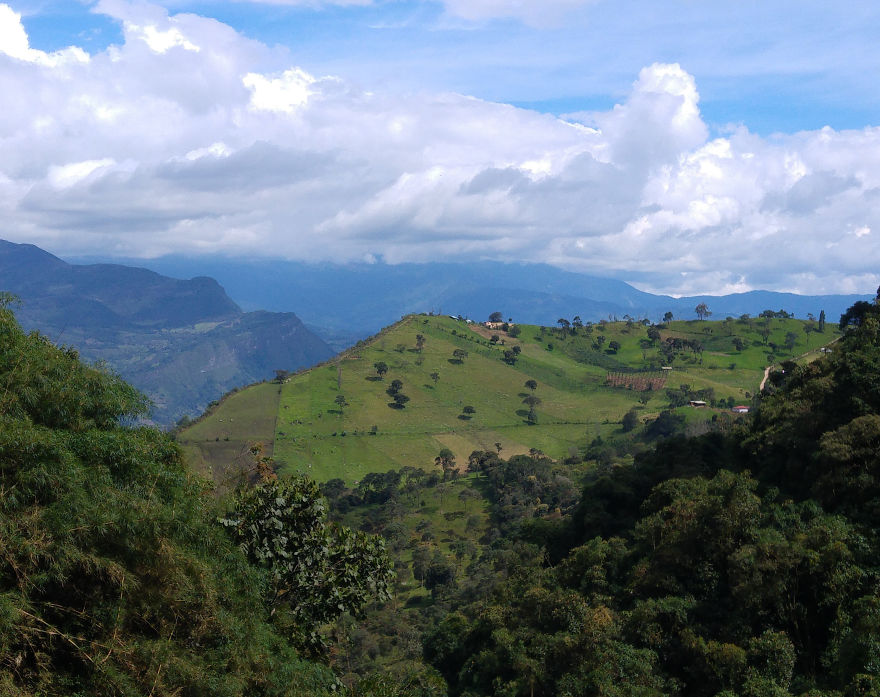 Choach&iacute;: Nuestro Monte Luna