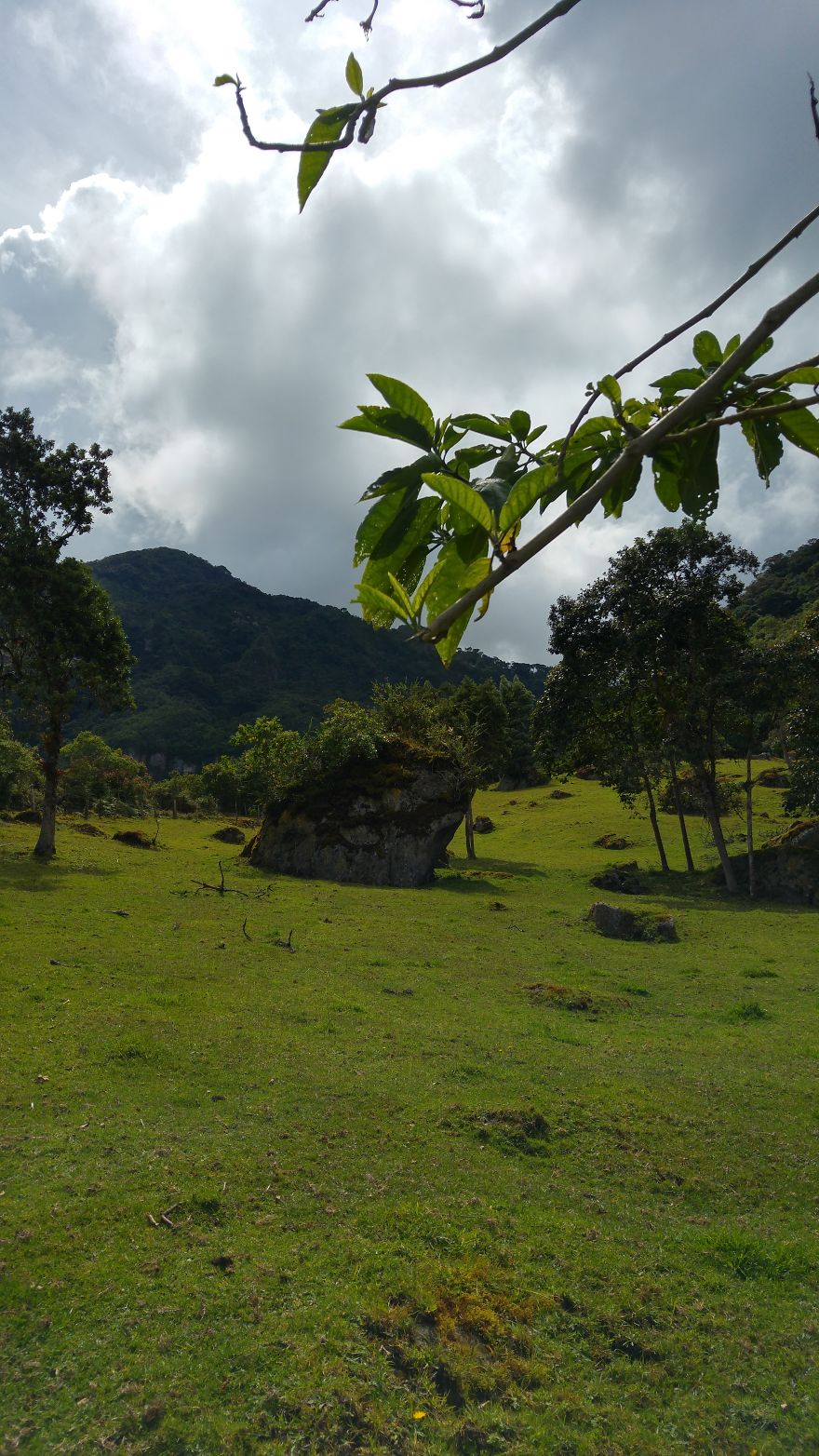 Choachí: Nuestro Monte Luna Choachí: Nuestro Monte Luna