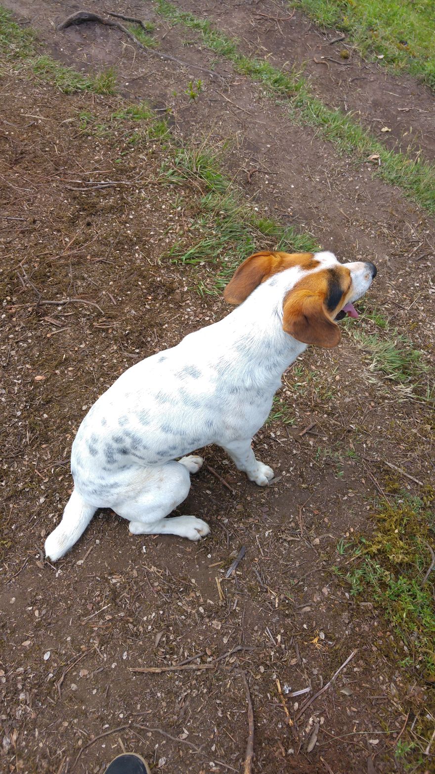 Choachí: Nuestro Monte Luna Choachí: Nuestro Monte Luna