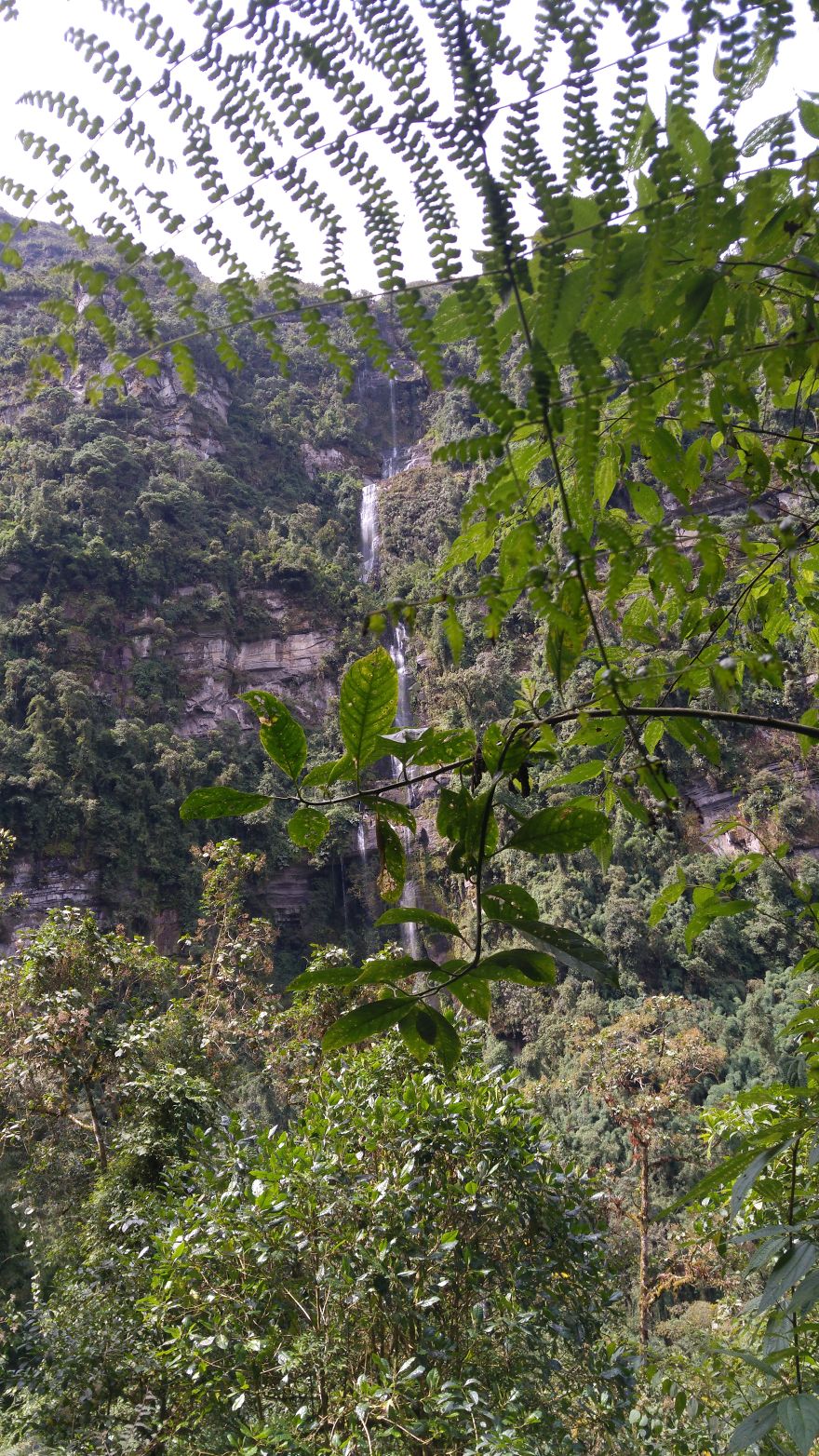 Choachí: Nuestro Monte Luna Choachí: Nuestro Monte Luna