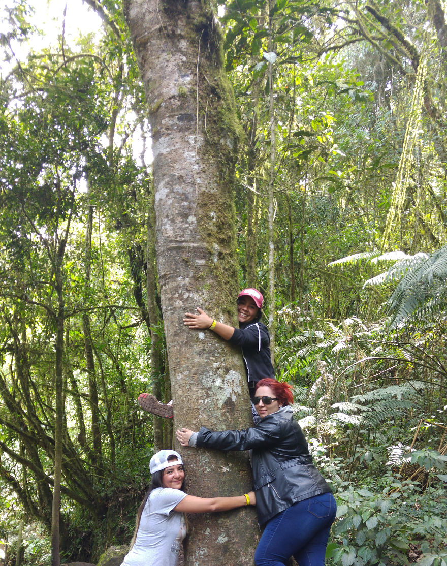 Choach&iacute;: Nuestro Monte Luna