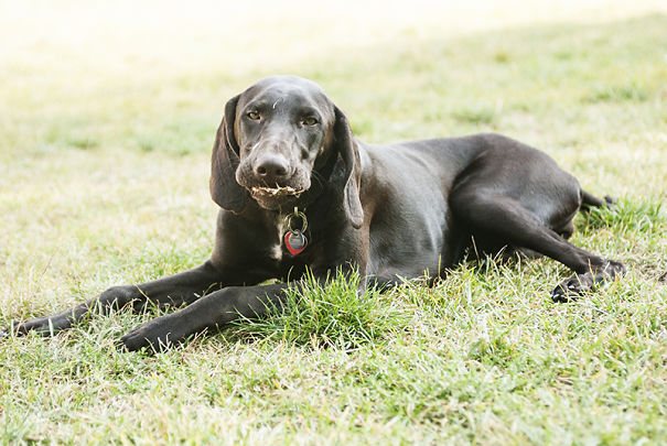 Our Betty Is Too Very Photogenic Princess ♥
