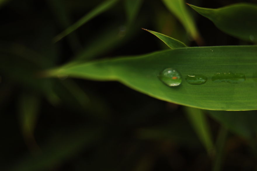 How I Discovered The Art Of Magic Rain