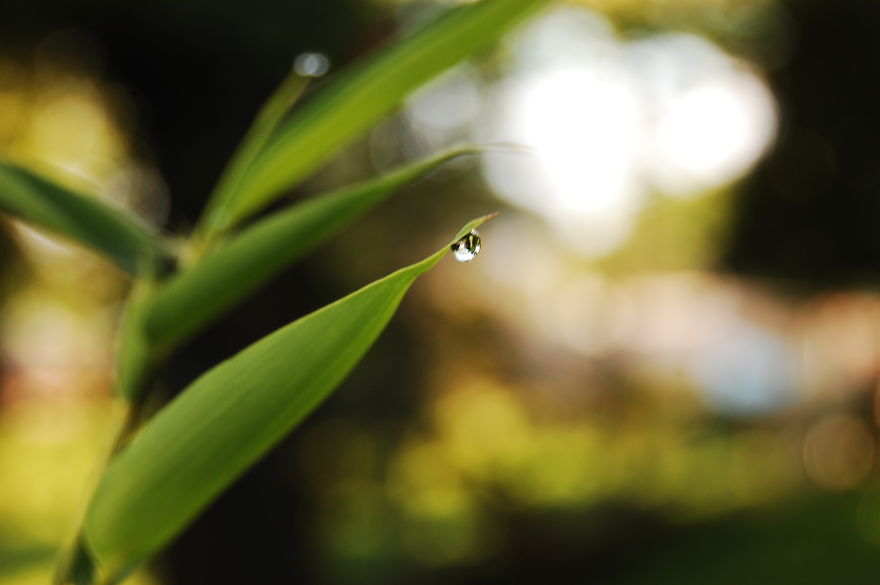 How I Discovered The Art Of Magic Rain