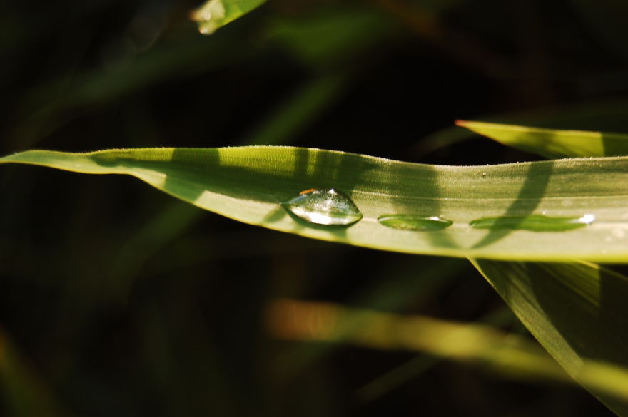 How I Discovered The Art Of Magic Rain