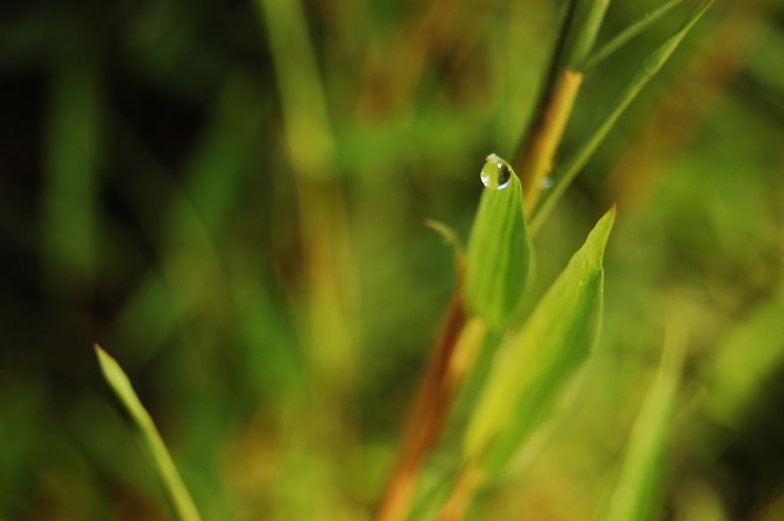 How I Discovered The Art Of Magic Rain