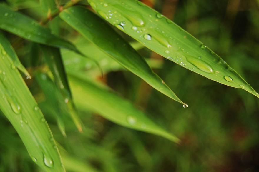 How I Discovered The Art Of Magic Rain