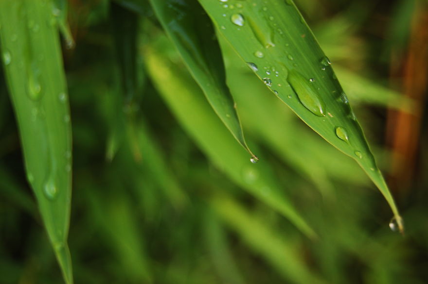 How I Discovered The Art Of Magic Rain