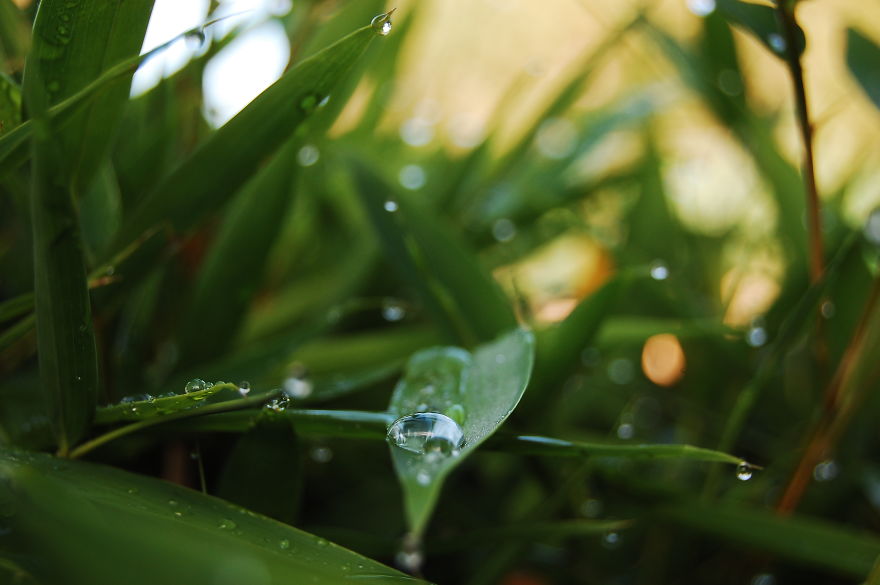 How I Discovered The Art Of Magic Rain