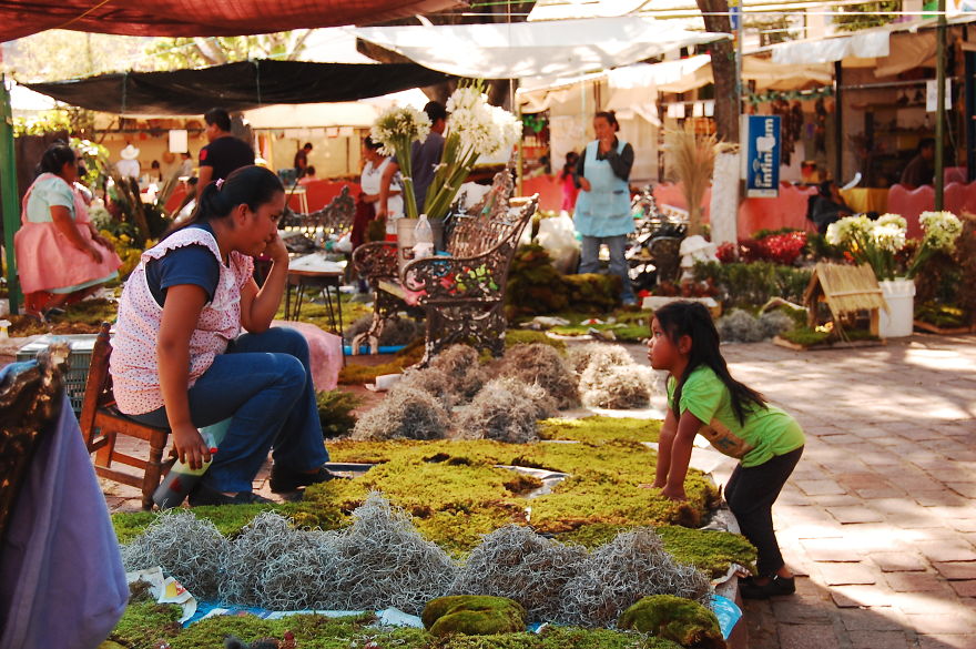I Fell In Love With The Colorful Magical Village Tepoztl&aacute;n In Mexico