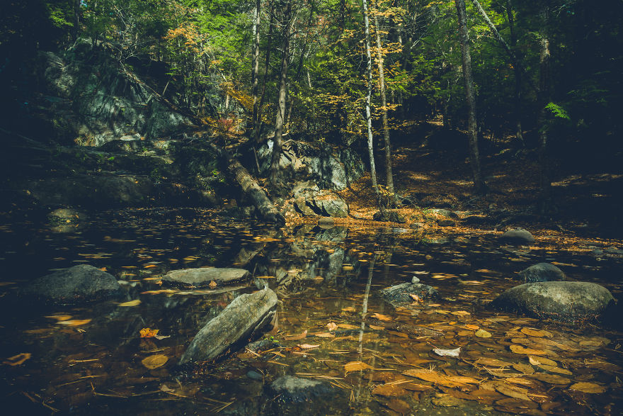 I Capture The Essence Of Maine I Capture The Essence Of Maine